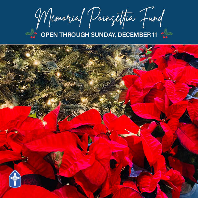 Poinsettias and Memorial Flowers

Remember your loved ones with a donation to the flower fund by December 11.


